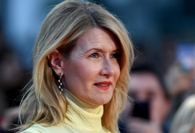 Laura Dern Measurements Bra Size Height Weight