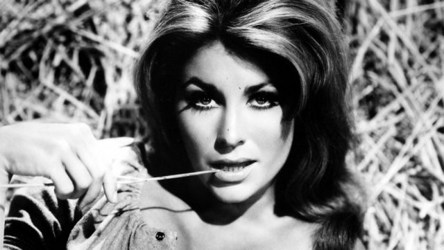 Michele Carey Measurements Bra Size Height Weight