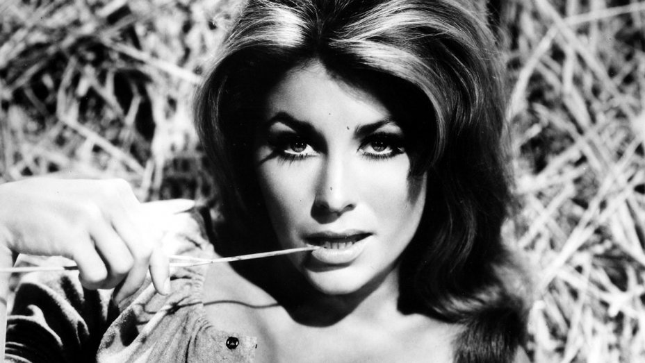 Michele Carey Measurements Bra Size Height Weight. 
