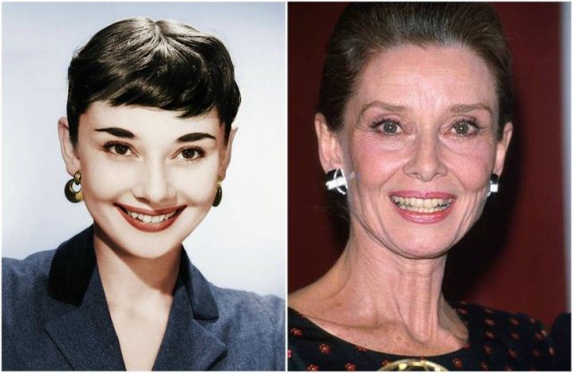 Audrey Hepburn Measurements Bra Size Height Weight