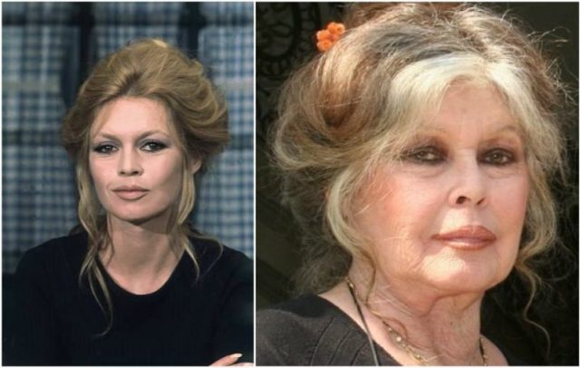 Brigitte Bardot Measurements Bra Size Height Weight