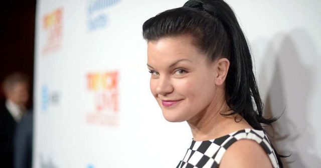 Pauley Perrette Measurements Bra Size Height Weight