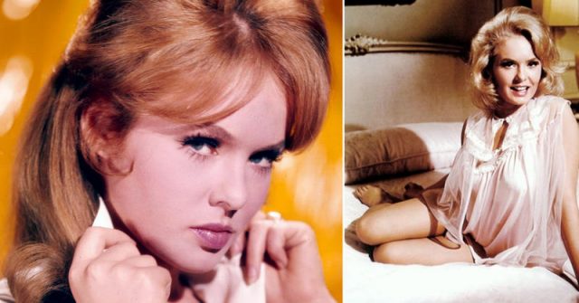 Joey Heatherton Measurements Bra Size Height Weight