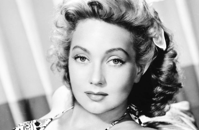 Ann Sothern Bra Size