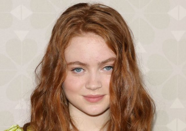 Sadie Sink Bra Size